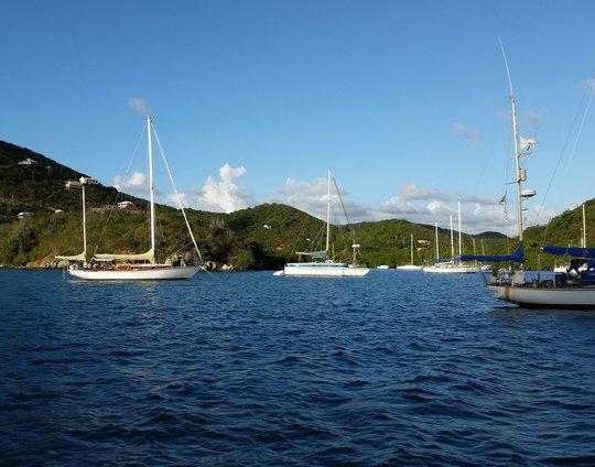 karl-callwood-S17o6vDOfr8-unsplash