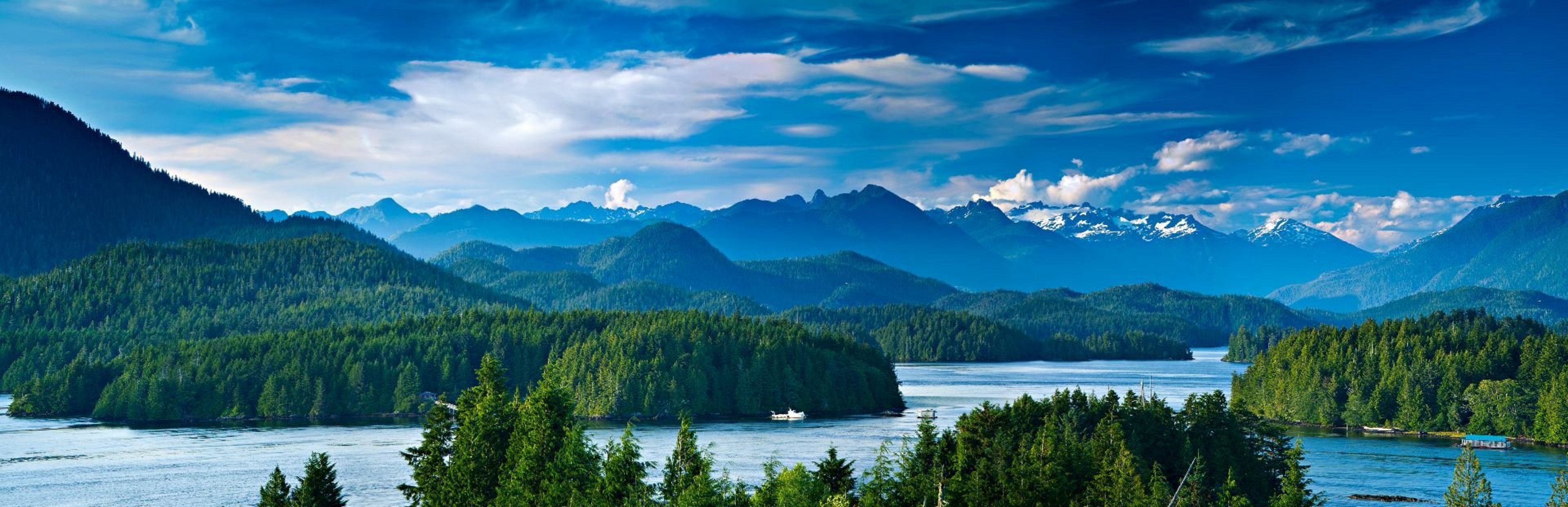 © markskalny / Adobe Stock