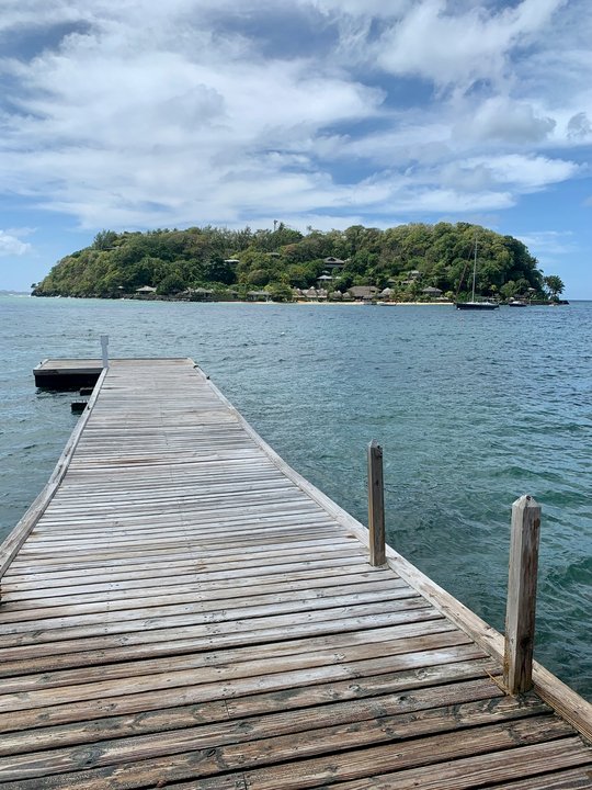 susy-ross-mZsmWf1qDZA-unsplash