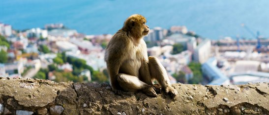 chris-boland-RFDBps6ixvs-unsplash