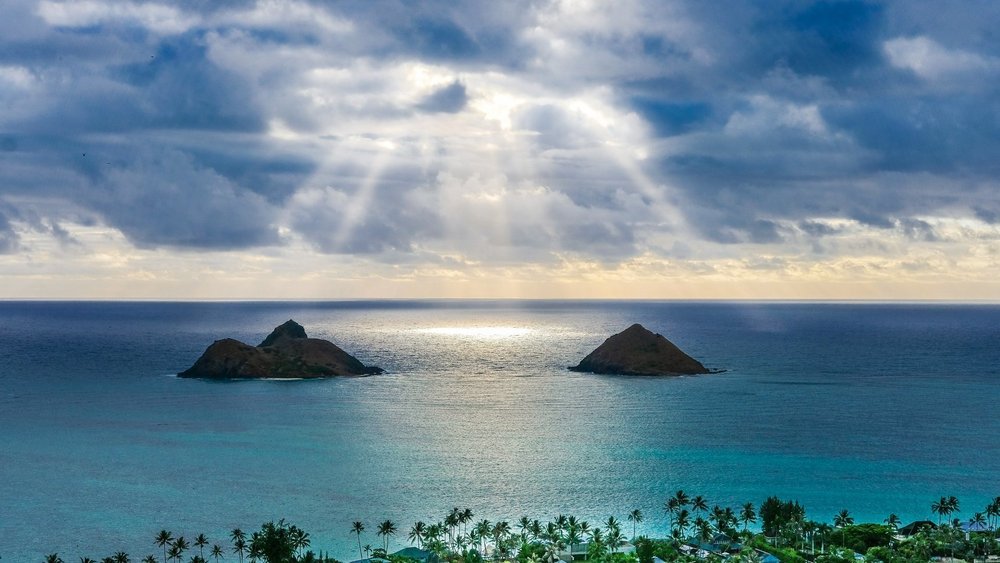 amanda-phung-1w2xsyc2wwI-unsplash