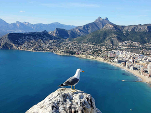 Blick auf Alicante image-15998