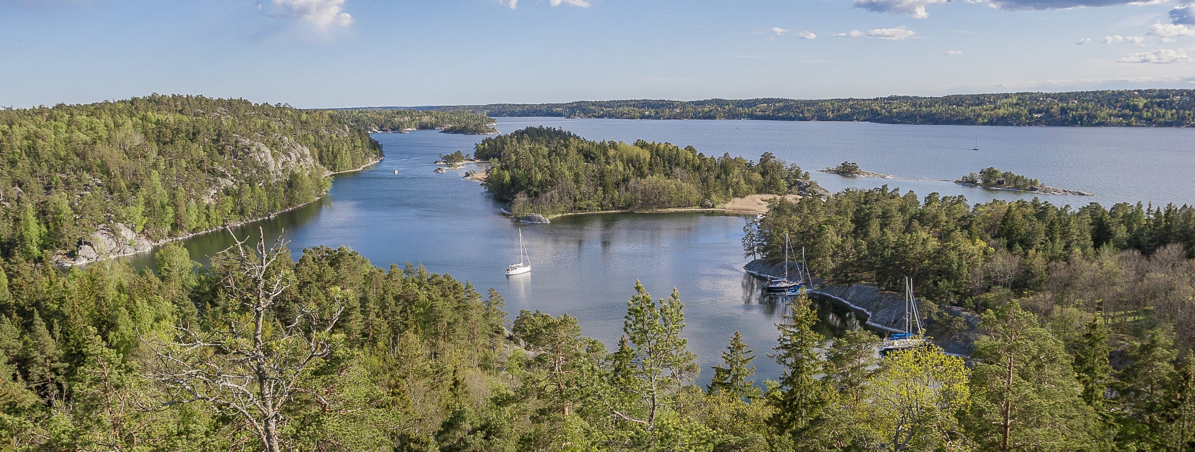 AdobeStock_234725239