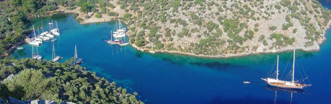 Kapi Bucht