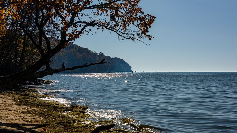 steve-adams-ckzTyM9SbMs-unsplash_3_