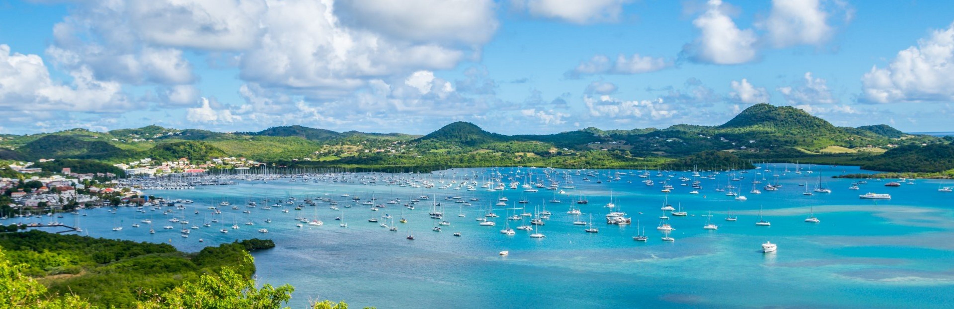 © Damien / Adobe Stock © Damien / Adobe Stock