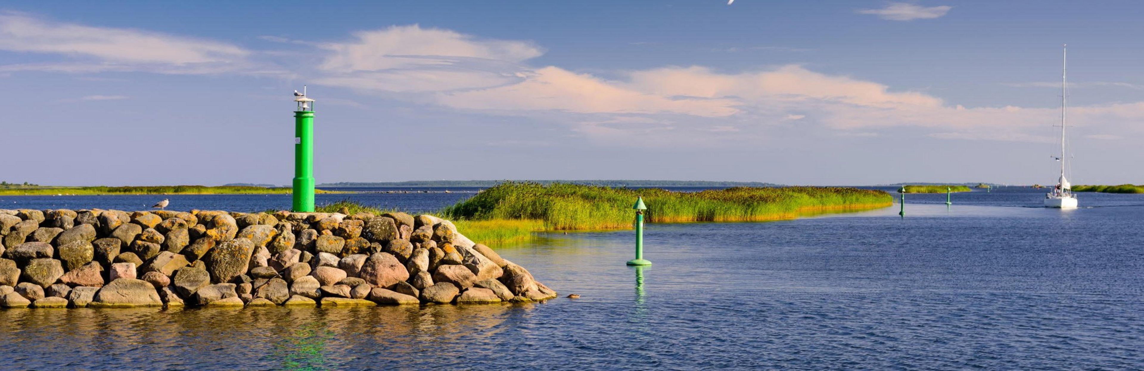 © r_andrei / Adobe Stock