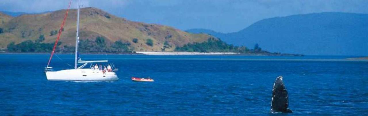Yachtcharter Whitesundays