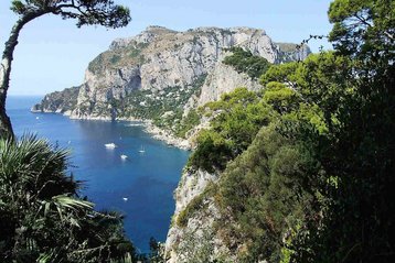 Capri_96582_1280__1_