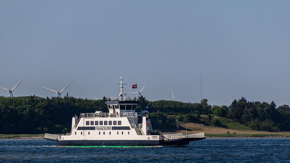 feggesund-3432422_1280