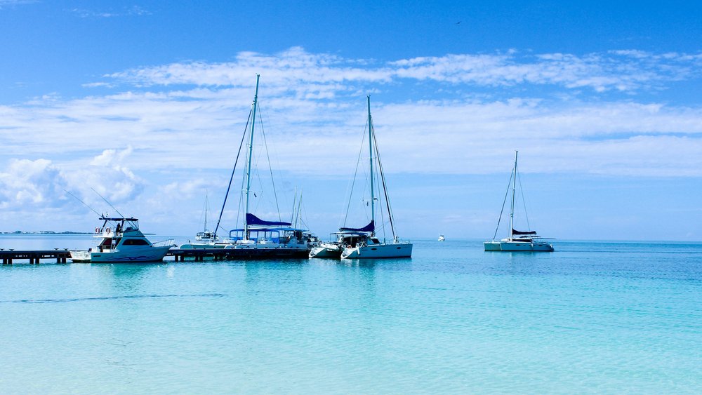 nic-tang-TQ4xx7IC_jw-unsplash