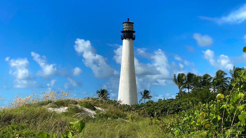 adrian-diaz-sieckel-vcYeEcVYI8Q-unsplash