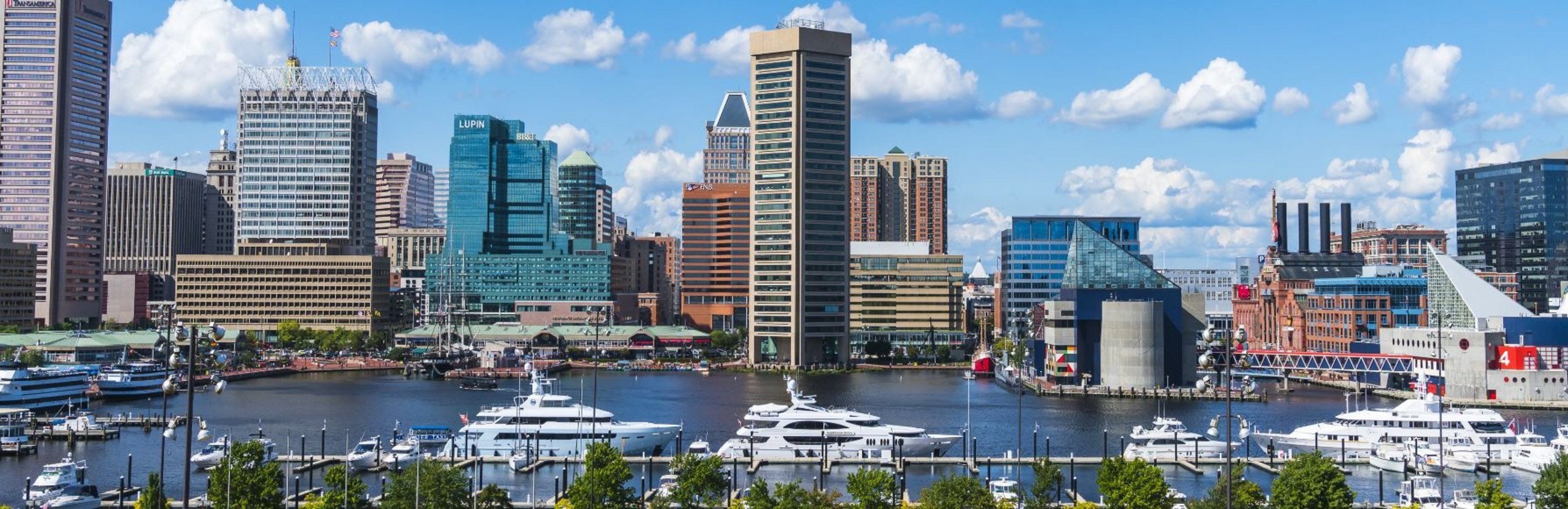 © checubus / Adobe Stock