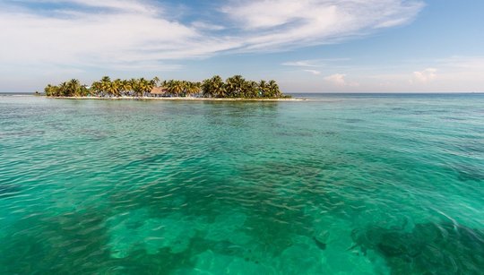 laughing-bird-3817949_1280