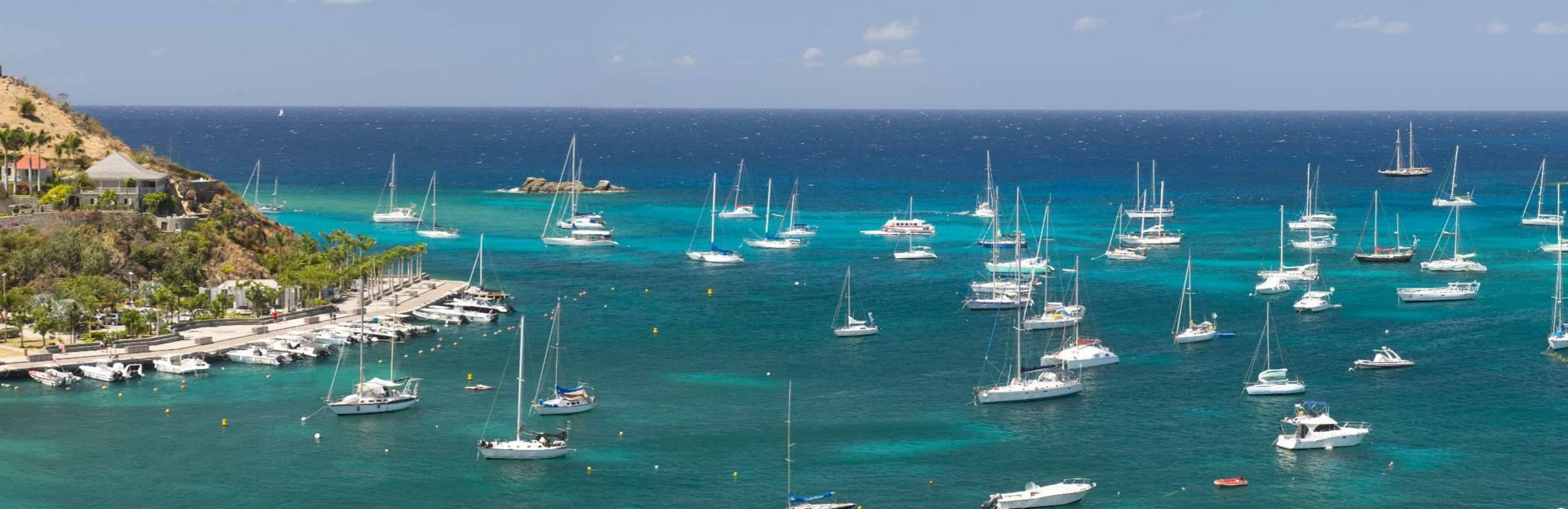 © forcdan / Adobe Stock