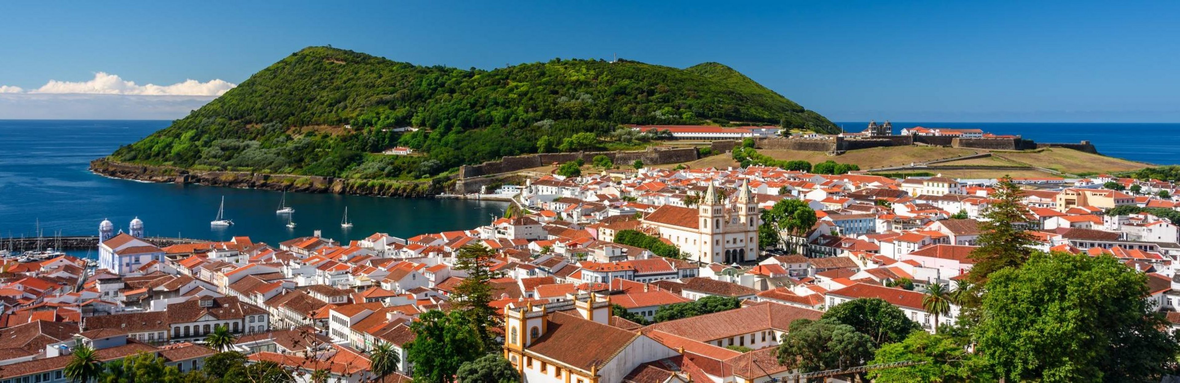 © marinzolich / Adobe Stock