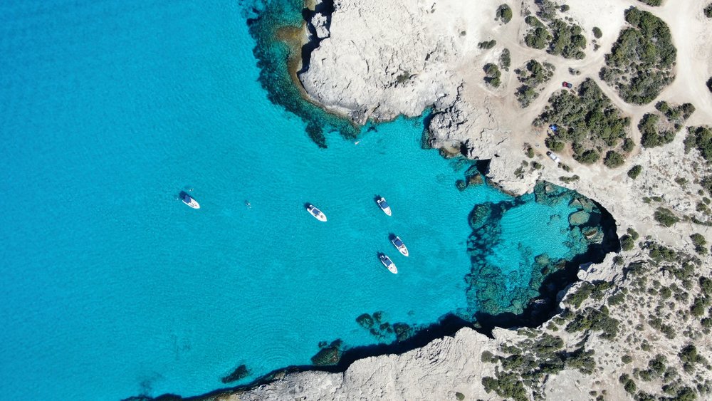 datingscout-3SdITUfm85M-unsplash