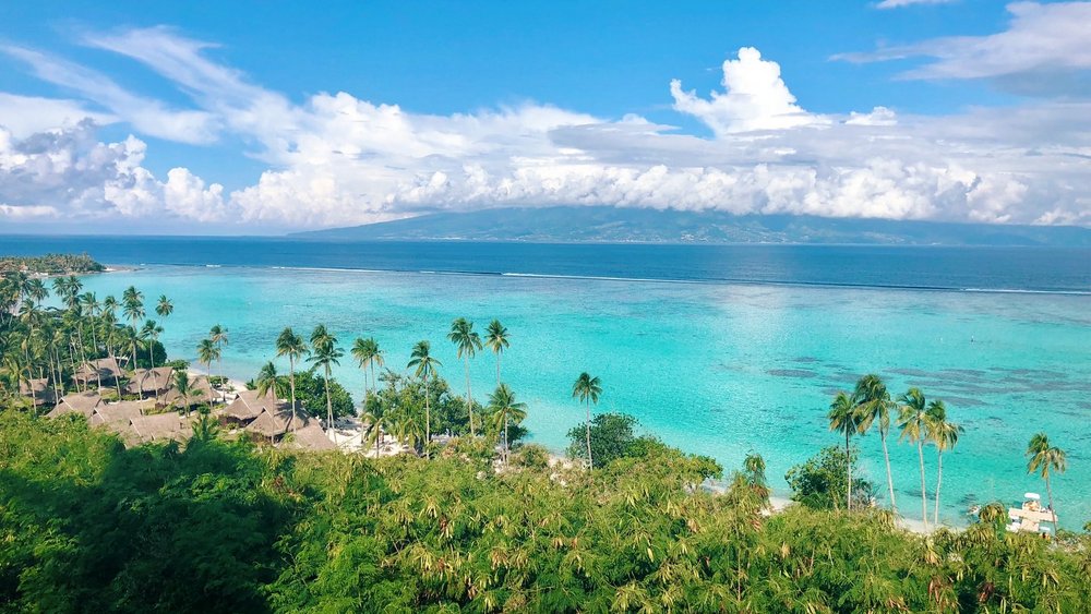 reiseuhu-5SOTm1RlCmg-unsplash